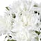 18" Dahlia Bush by Ashland®